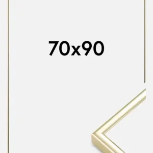 Jusqu’à Épuisement Des Stocks Fotolijst Nielsen Premium Classic Glas Goud 70x90 cm
