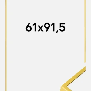 Aluminium Fotolijst Goud 61x91,5 cm Remise