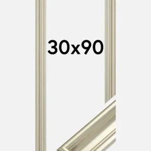 Fotolijst Mora Premium Glas Zilver 30x90 cm Commande En Gros