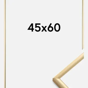 Offre Spéciale Fotolijst New Lifestyle Glas Goud 45x60 cm