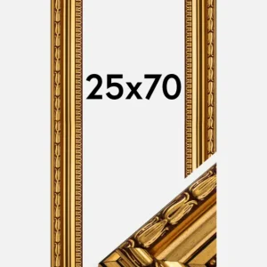 Retour Gratuit Fotolijst Birka Premium Glas Goud 25x70 cm
