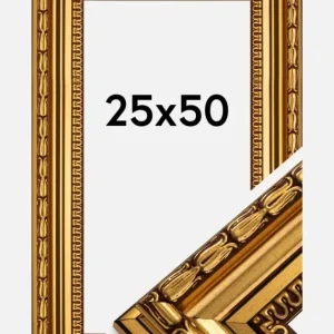 Fotolijst Birka Premium Glas Goud 25x50 cm Prix Réduit