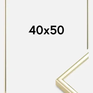Livraison Gratuite Fotolijst Nielsen Premium Classic Glas Goud 40x50 cm