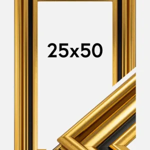 Quantité Limitée Fotolijst Gysinge Premium Glas Goud 25x50 cm
