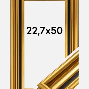 Marque Fotolijst Gysinge Premium Glas Goud 22,7x50 cm