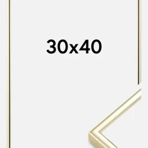 Petit Prix Fotolijst Nielsen Premium Classic Glas Goud 30x40 cm