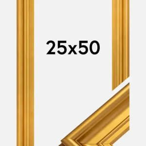 Prix Réduit Fotolijst Mora Premium Glas Goud 25x50 cm