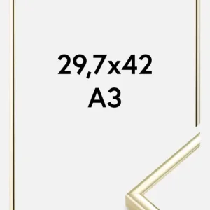 Authentique Fotolijst Nielsen Premium Classic Glas Goud 29,7x42 cm (A3)