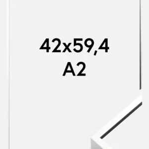 Meilleur Prix Fotolijst Nielsen Premium Alpha Glas Helder Zilver 42x59,4 cm (A2)
