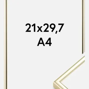 Fotolijst Nielsen Premium Classic Glas Goud 21x29,7 cm (A4) Commande En Gros