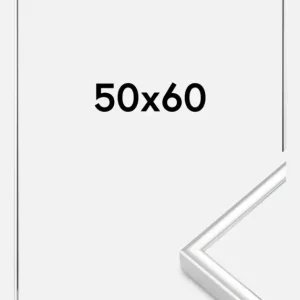 Meilleur Prix Fotolijst Nielsen Premium Classic Glas Zilver 50x60 cm