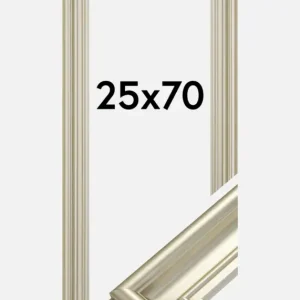 Fotolijst Mora Premium Glas Zilver 25x70 cm Meilleur Prix