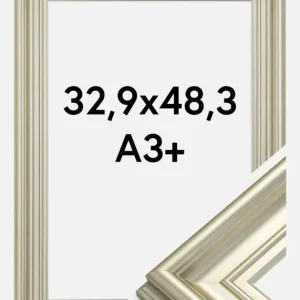 Meilleur Prix Fotolijst Mora Premium Glas Zilver 32,9x48,3 cm (A3+)