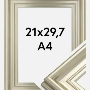 Dernier Modèle Fotolijst Mora Premium Glas Zilver 21x29,7 cm (A4)