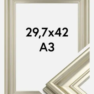 Fotolijst Mora Premium Glas Zilver 29,7x42 cm (A3) Affaire À Saisir