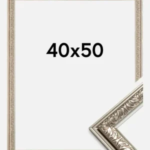 Certifié Fotolijst Nostalgia Glas Zilver 40x50 cm