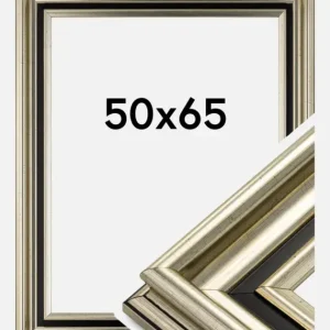 Expédition Rapide Fotolijst Gysinge Premium Glas Zilver 50x65 cm