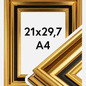 Meilleur Prix Fotolijst Gysinge Premium Glas Goud 21x29,7 cm (A4)