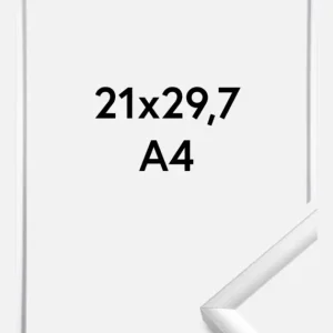 Meilleur Prix Fotolijst New Lifestyle Glas Zilver 21x29,7 cm (A4)