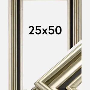 Prix Choc Fotolijst Gysinge Premium Glas Zilver 25x50 cm