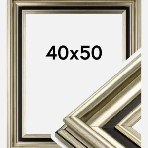 Seulement Aujourd’hui Fotolijst Gysinge Premium Glas Zilver 40x50 cm