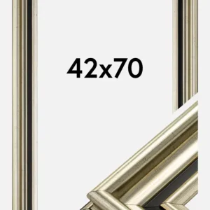 Fotolijst Gysinge Premium Glas Zilver 42x70 cm Prix Choc