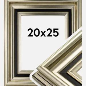 Remise Fotolijst Gysinge Premium Glas Zilver 20x25 cm