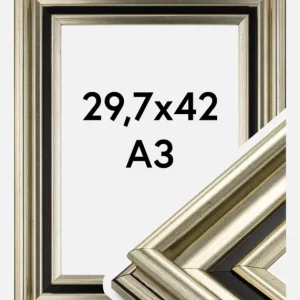 Meilleure Vente Fotolijst Gysinge Premium Glas Zilver 29,7x42 cm (A3)