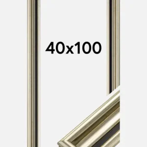 Fotolijst Gysinge Premium Glas Zilver 40x100 cm Prix Réduit