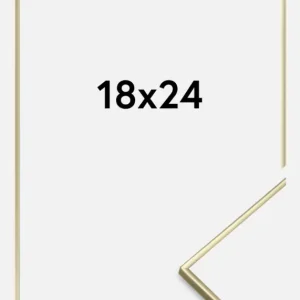 Bon Marché Fotolijst Glad Metaal Glas Goud 18x24 cm