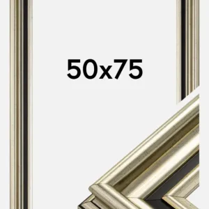 Bon Plan Fotolijst Gysinge Premium Glas Zilver 50x75 cm