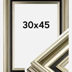 Produit De Marque Fotolijst Gysinge Premium Glas Zilver 30x45 cm