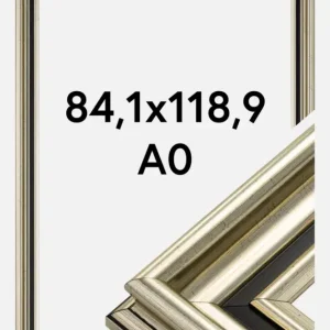Nouvelle Collection Fotolijst Gysinge Premium Glas Zilver 84,1x118,9 cm (A0)