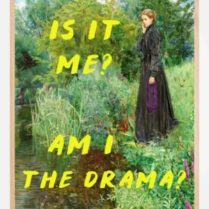 Vente Flash Is It Me? Am I The Drama? Poster (21x29.7 cm (A4))