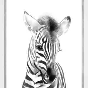 Zebra Watercolor Poster (21x29.7 cm (A4)) Dernier Modèle