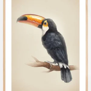 Tropical Toucan Poster (21x29.7 cm (A4)) Seulement Aujourd’hui