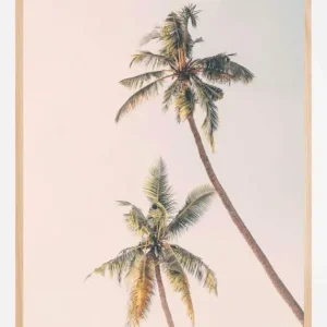 Tropical Palms Poster (21x29.7 cm (A4)) Marque
