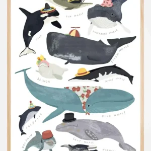 Achetez Aujourd’hui Whales In Hats Poster (21x29.7 cm (A4))