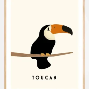 Tucan Poster (21x29.7 cm (A4)) Affaire À Saisir