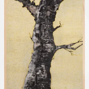 Aurum Naturae I Poster (21x29.7 cm (A4)) Achetez Aujourd’hui