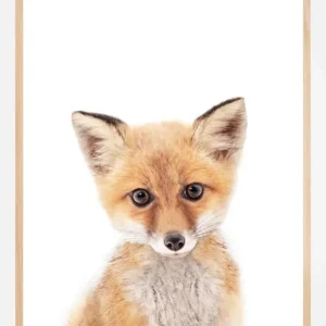 Baby Fox Poster (21x29.7 cm (A4)) Satisfait Ou Remboursé