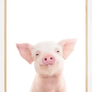 Baby Pig Poster (21x29.7 cm (A4)) Promotion