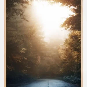 Autumn Misty Road Poster (21x29.7 cm (A4)) Pas Cher