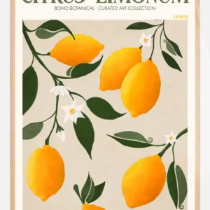 Affaire À Saisir Boho Citrus Limonum Poster (21x29.7 cm (A4))