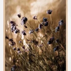 To Be Free In Light Poster (21x29.7 cm (A4)) Remise