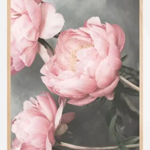 1643 Poster (21x29.7 cm (A4)) Populaire