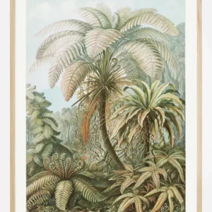 Achat Immédiat Botanicum Poster (21x29.7 cm (A4))