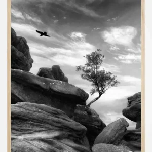 Vente Directe Brimham Poster (21x29.7 cm (A4))