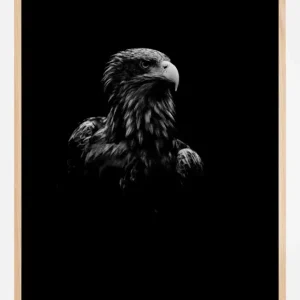 Achat Immédiat Black Eagle Poster (21x29.7 cm (A4))