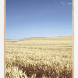 Vente Directe Beige Fields Poster (21x29.7 cm (A4))